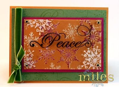 Winter Peace