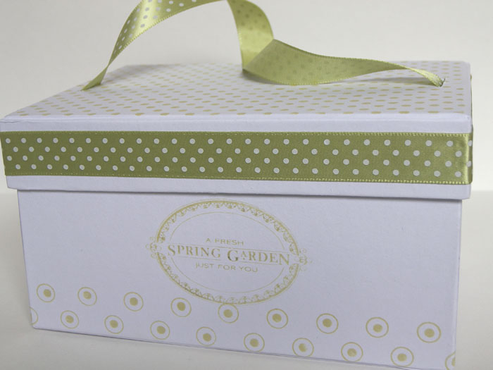 Stamps: Just Hatched, Polka Dot Basics, Women Of Life <br />
Inks: PTI Spring Moss<br />...