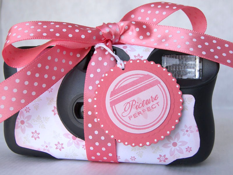 Project Title:  Picture Perfect Camera Favor<br />
Stamps: Favor It Weddings; Bags, Tags &amp;...