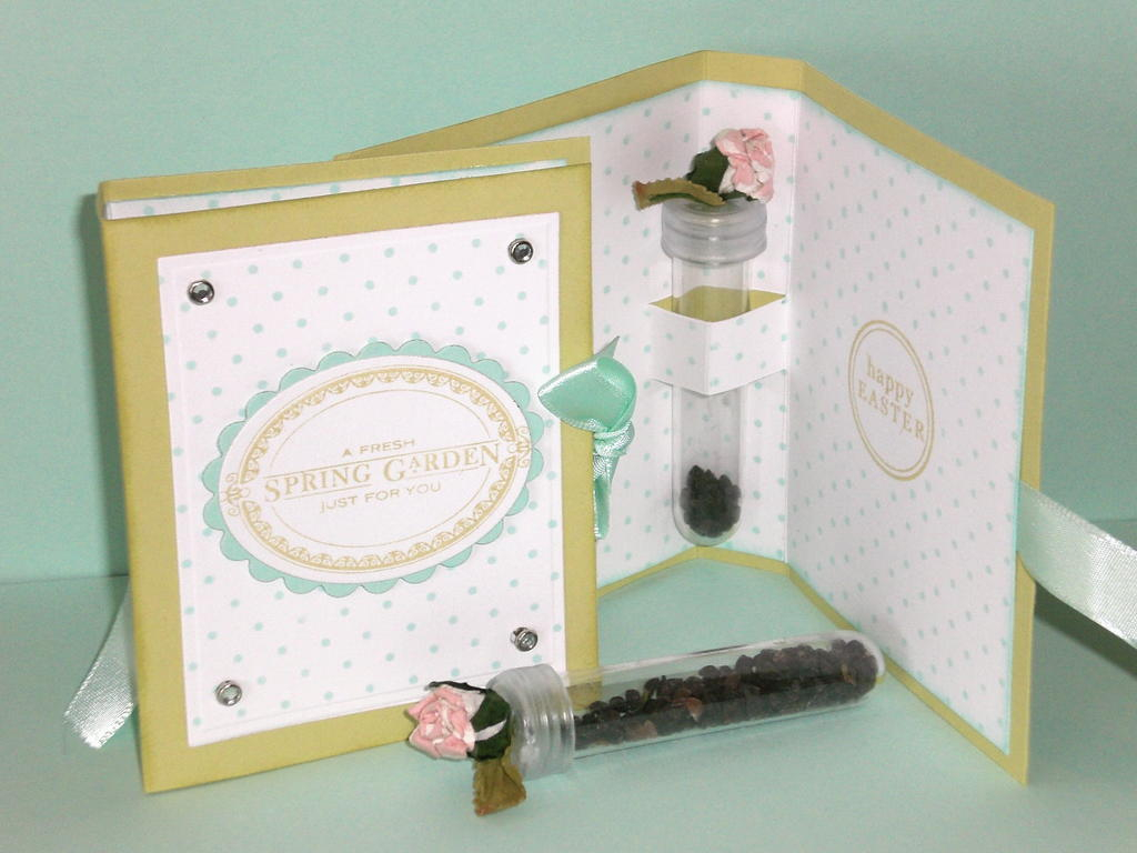 This was one of my Guest Star entries,  The seeds are sweet pea seeds to go alaong with the...