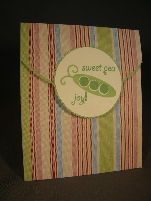 I made this simple fold card for a co-worker&#039;s baby.  Not sure if she is having a boy or...
