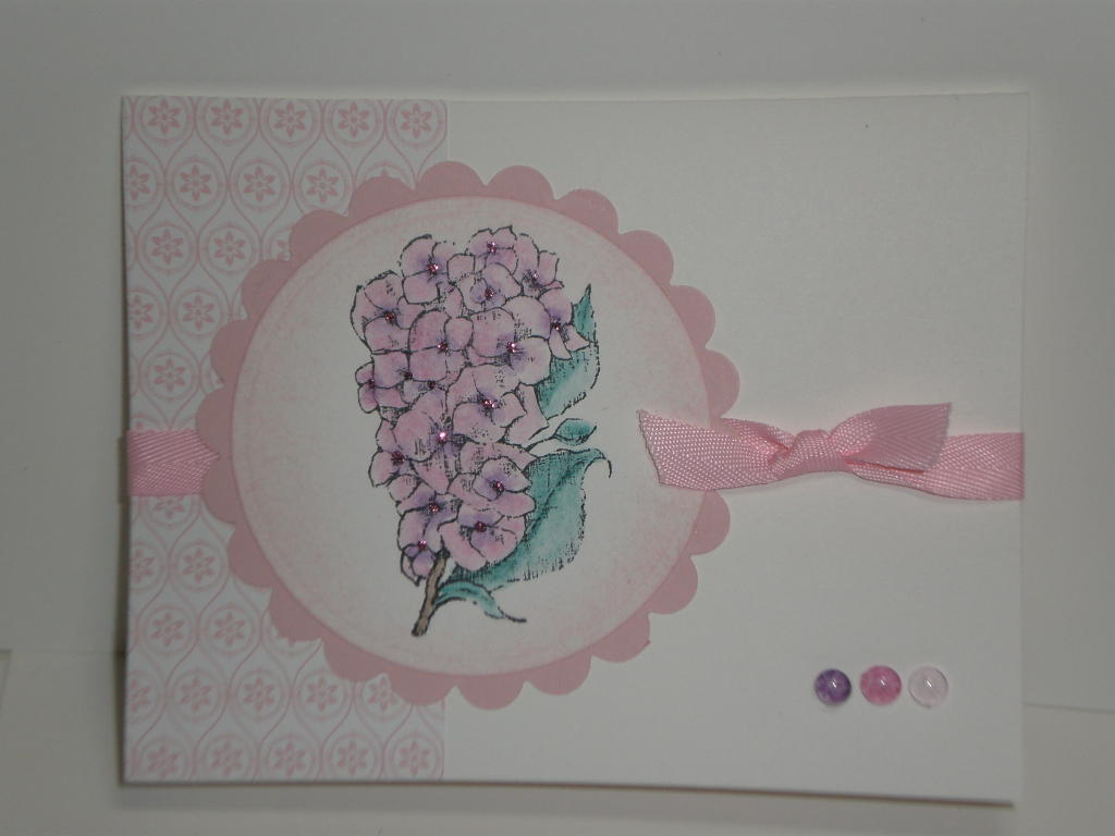 Any Occasion Card