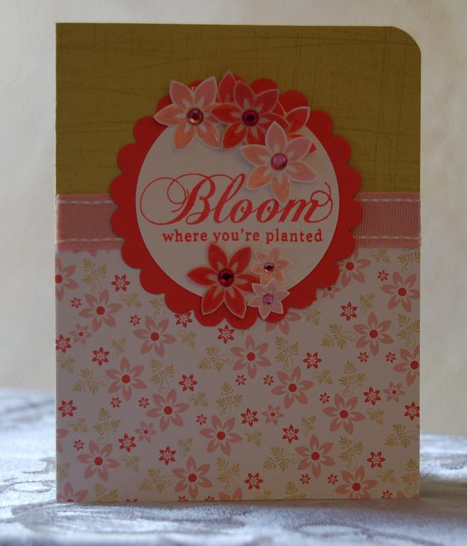 Bloom where you are planted