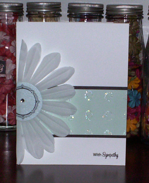 Boxes, Bags, Tags &amp; Garden of Life used.  Also used the belly band from the packaging.