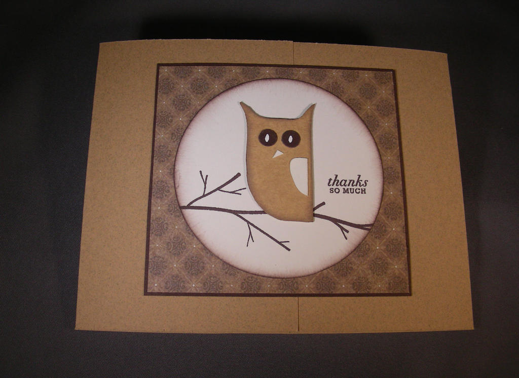 I made this owl out of light cardstock.  Drew him, cut him out and colored him with some chalk...