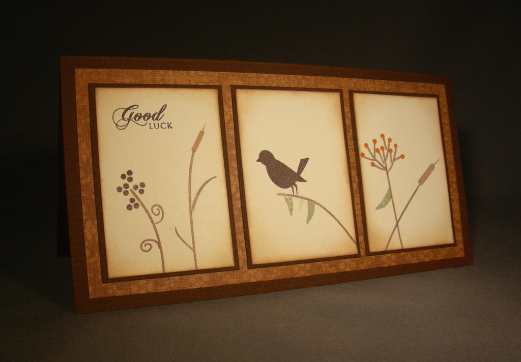 This is made with a mix of sets including Pond Life (I am really loving that set), Out on a...