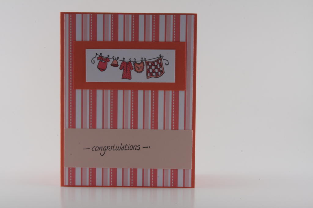 Lockhart Clothesline Stamp.  PTI Pink Pattern Paper, Pink Blush, Berry Sorbet.  Palette Black...