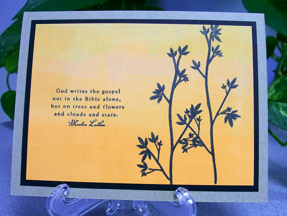 This card was absolutely inspired by one Donelda (wiggydl) made.  I liked it so much I made 2...