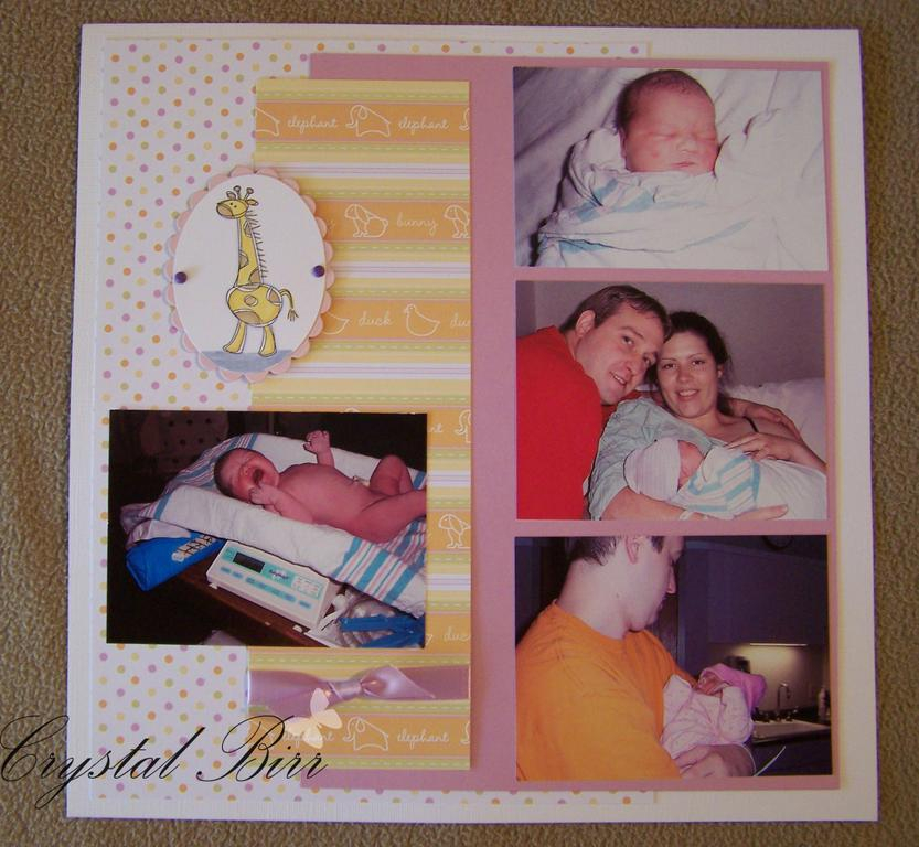 My bundle of joy!  I had to redo my scrapbook page of my youngest daughter and this paper was...