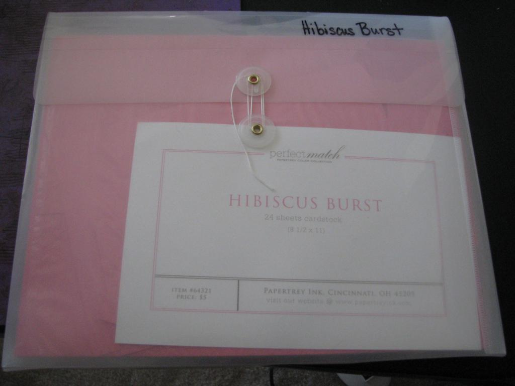 8 1/2 X 11 tie envelope, and I cut the plastic along the long side of the paper so I can take...