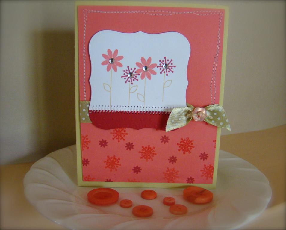 raspberry suite color challenge