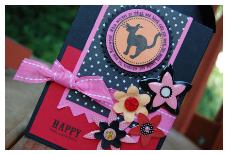 More details and photos here:<br />...