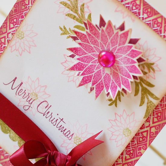 Stamps:  Peaceful Poinsettia, Beyond Basic Borders<br />
Ink:  Raspberry Fizz, Scarlet Jewel,...