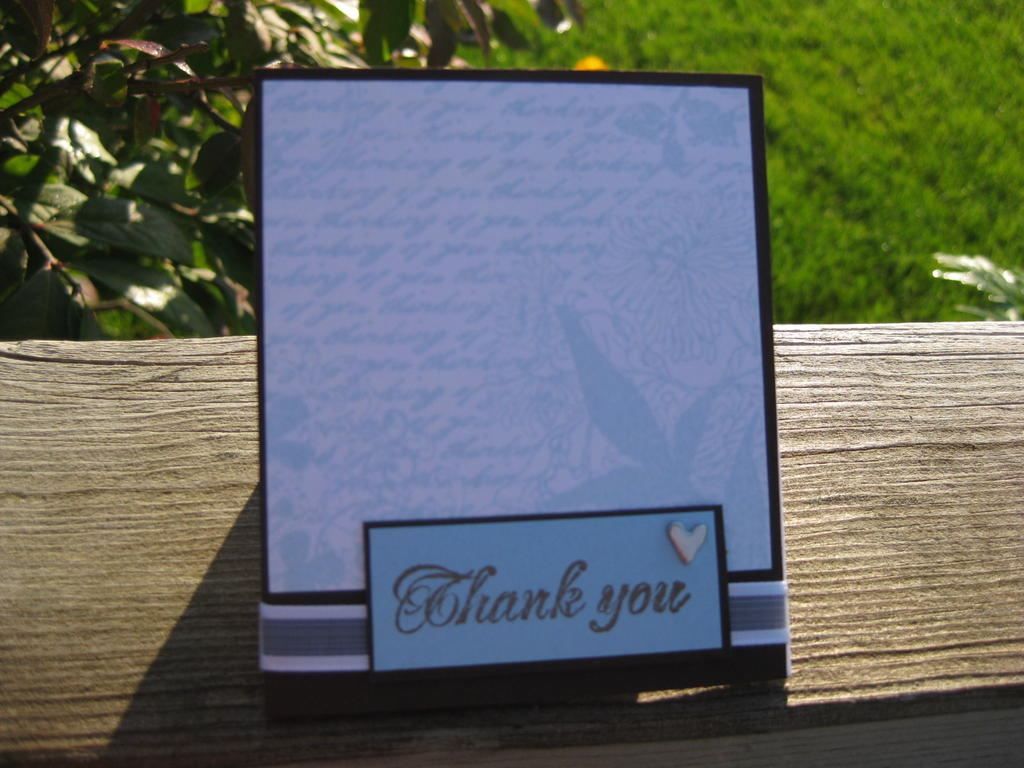 Thank You/Fresh Cuts