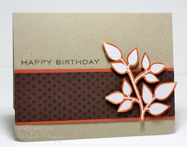 I stamped the leaves with versamark onto some white cardstock. Then I embossed with clear...
