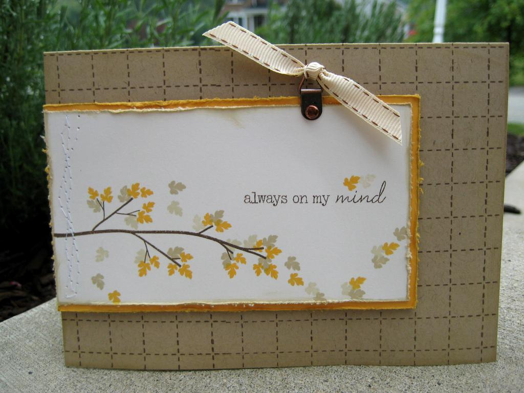 from previous RSCC - out on a limb, retro background basics