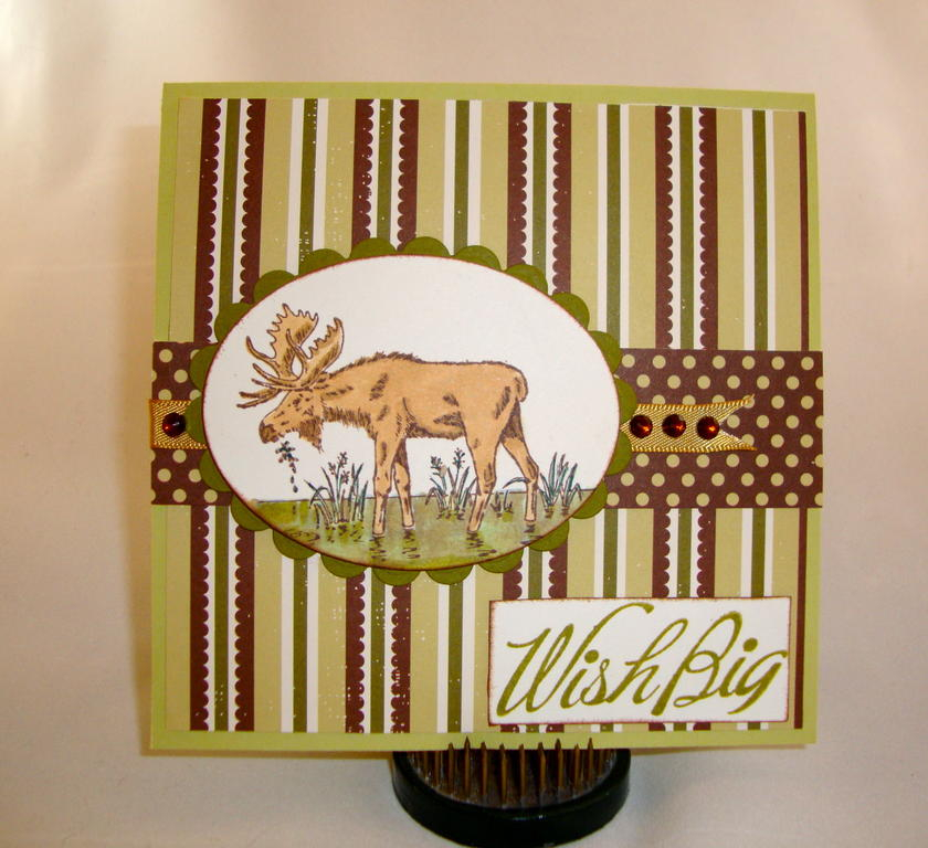 Category:  Previous Set:  Big and Bold Wishes and Turning a New Leaf Paper:  Masculine Birthday Card