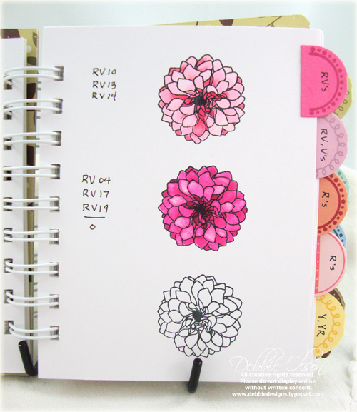 Hibiscus Burst and Raspberry Fizz