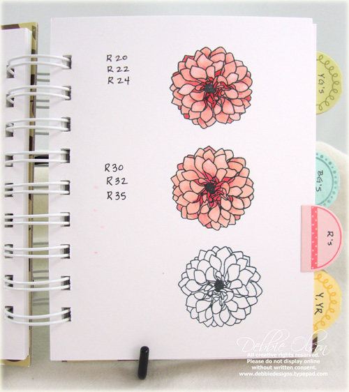 Sweet Blush and Berry Sorbet