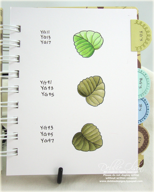 New Leaf, Spring Moss, and Ripe Avocado