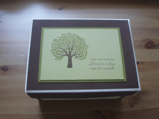 Simple box to keep cards - Through the Trees stamped on Spring Moss in Dark chocolate and ripe...