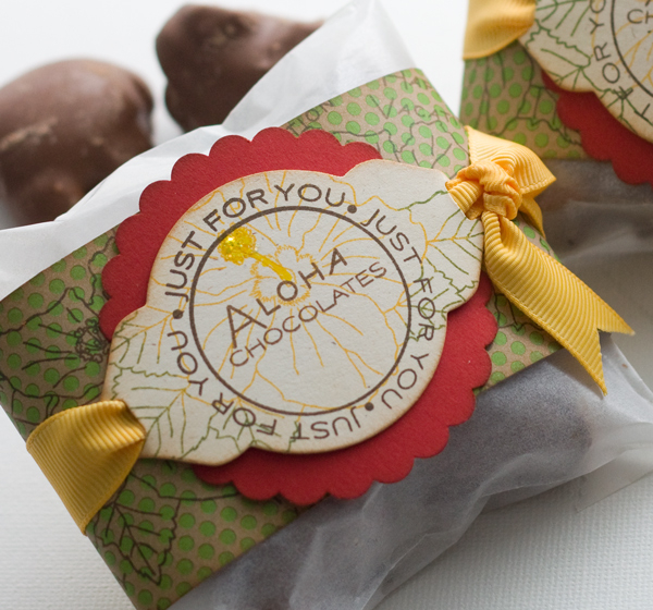 # Stamps- Just For You, Aloha <br />
# Ink-   Dark Chocolate, New Leaf, Summer Sunrise<br />
#...