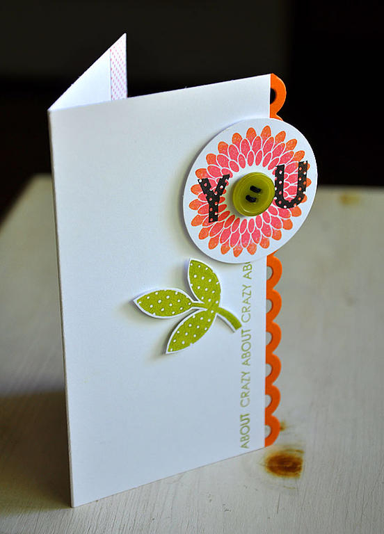 Stamps:  All About You &amp; Polka Dot Basics II<br />
Ink:  Berry Sorbet, Orange Zest, Simply...