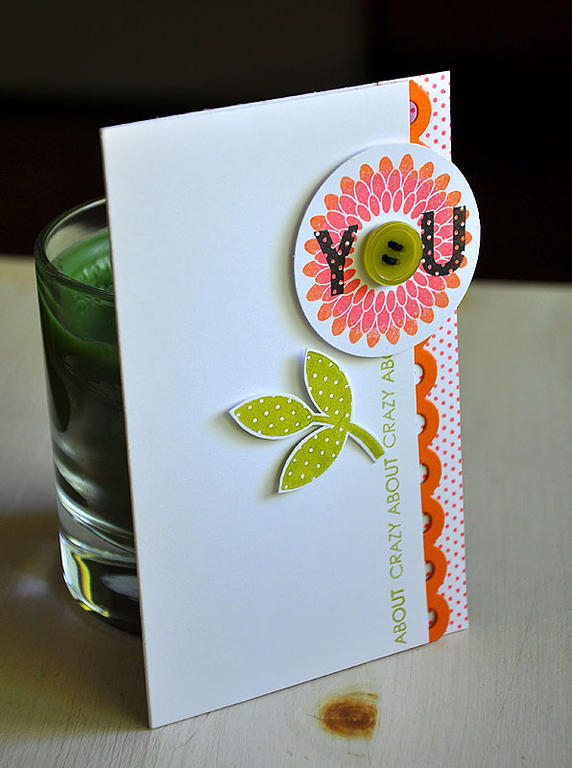 Stamps:  All About You &amp; Polka Dot Basics II<br />
Ink:  Berry Sorbet, Orange Zest, Simply...