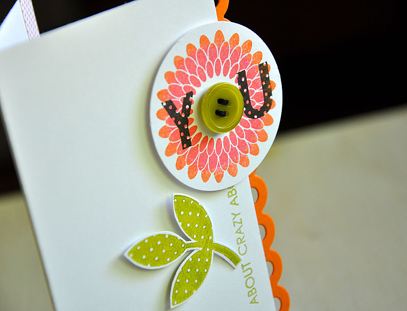 Stamps:  All About You &amp; Polka Dot Basics II<br />
Ink:  Berry Sorbet, Orange Zest, Simply...
