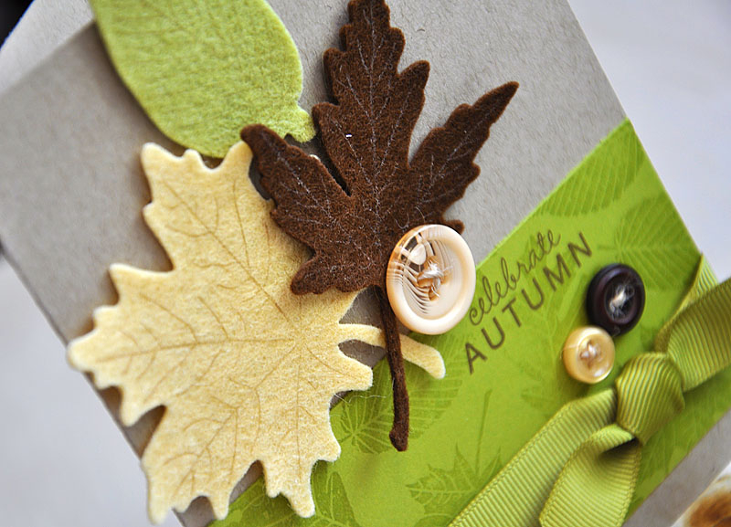 Stamps:  Leaf Prints &amp; Fillable Frames #7<br />
Ink:  Dark Chocolate, Vintage Cream &amp;...