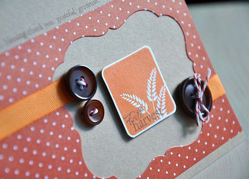 Stamps:  Take Three: Fall &amp; Gobble, Gobble<br />
Ink:  Dark Chocolate &amp; Orange Zest<br...