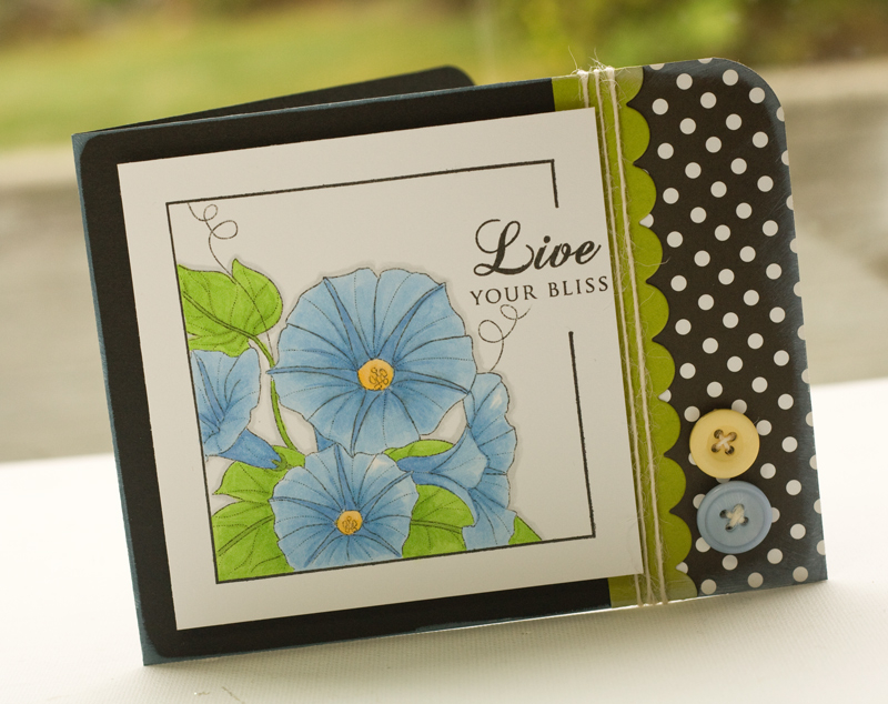 Stamps- Year of Flowers: Morning Glories, Framed, Mega Mixed Messages<br />
Ink- Black Noir,...