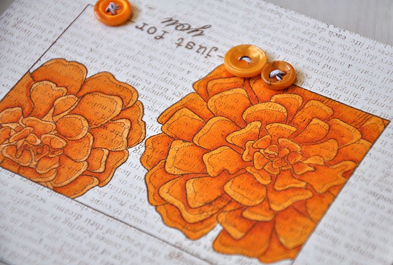 Stamps: Background Basics: Text Style, Year of Flowers: Marigolds &amp; Fillable Frames #9...