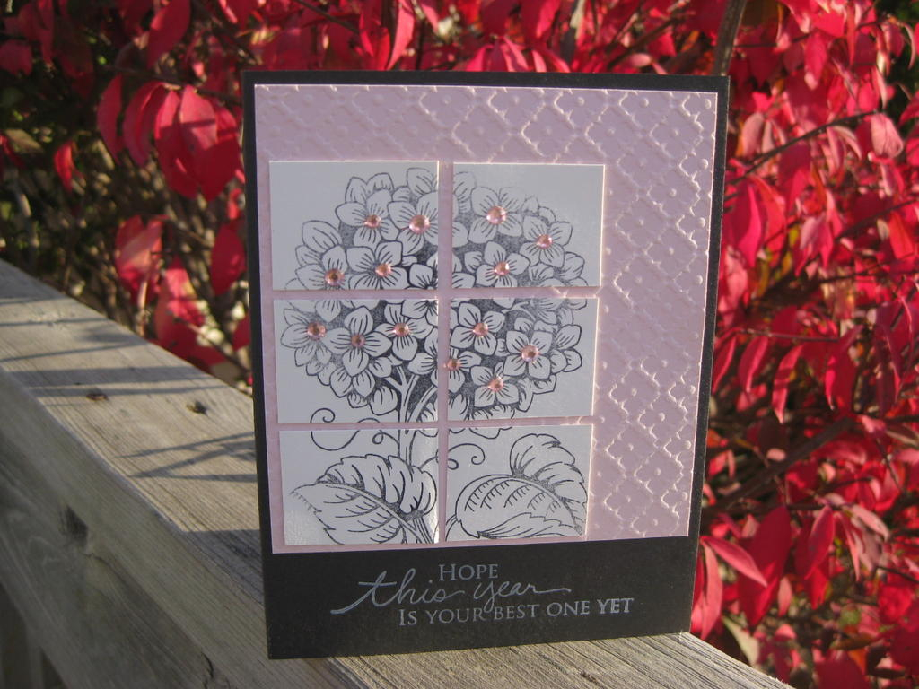 Pink, white, black w+9 #9