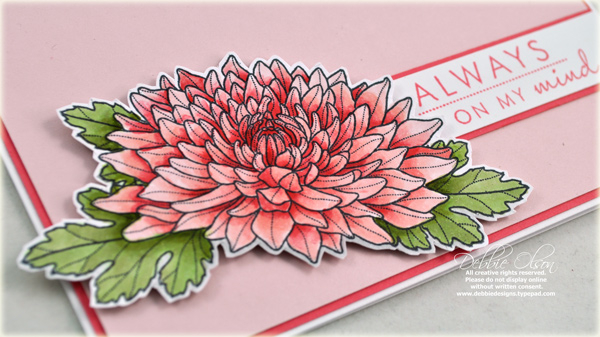 Stamps: Year of Flowers: Mums<br />
Cardstock: Stampers Select White, Berry Sorbet, Sweet...