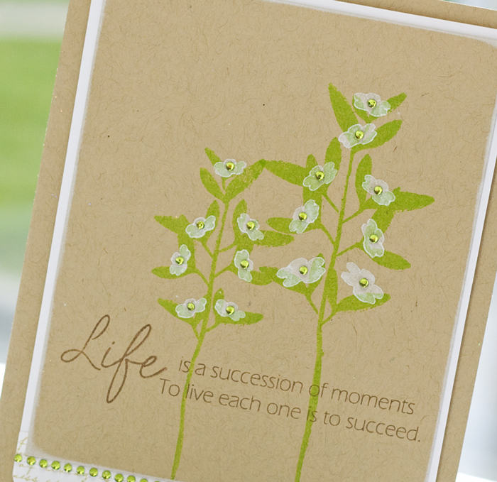 * Stamps- Larger Than Life, Life, Text Style I<br />
    * Ink- Landscape, Fresh Snow, Dark...