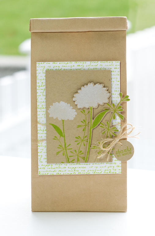 # Stamps- Larger Than Life, Life, Mini Messages<br />
# Ink- Palette Landscape, Fresh Snow<br...