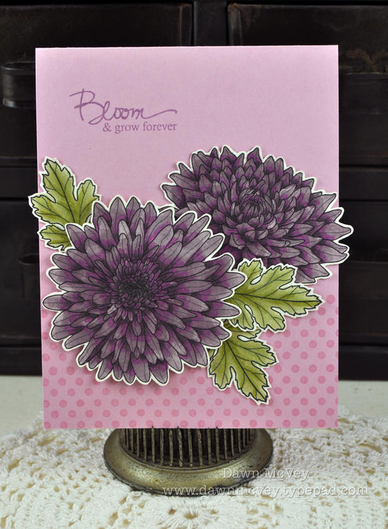 Paper: lavender moon, stamper's select white<br />
Stamps: Year of Flowers: Mums,...