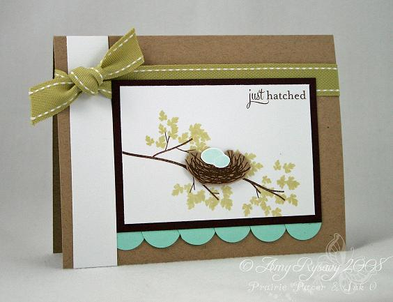 STAMPS: Birds of a Feather, Out on a Limb Revised by Papertrey Ink.<br />
<br />
CS: Papertrey...