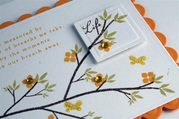 Close up of popped up part of the branch.