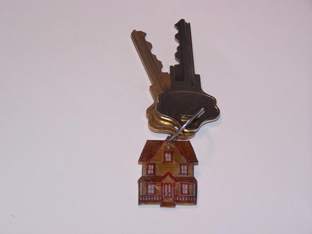 I stamped the country house from Boards and Beams with Versafine Black Ink on shrink plastic...