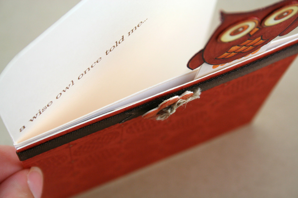 Stamps: Wise Owl &amp; Guide Lines<br />
<br />
Ink: Noir Black, Dark Chocolate (Burnt Umber)...
