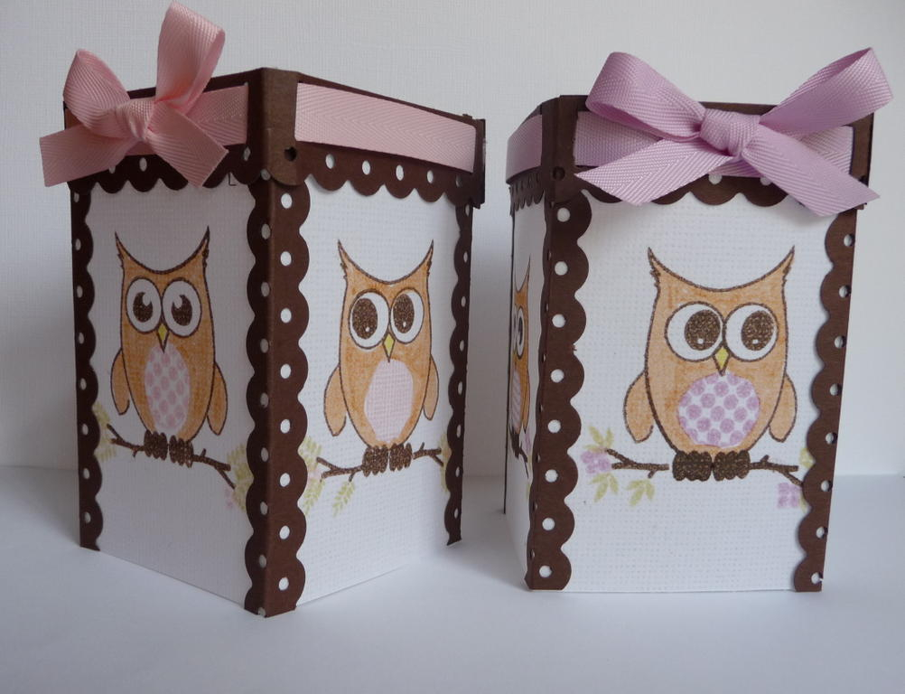 GSS Entry Wise Owl.  Michele Hetland (Derbylea) http://iamderby.blogspot.com<br />
Wise Owl tea...
