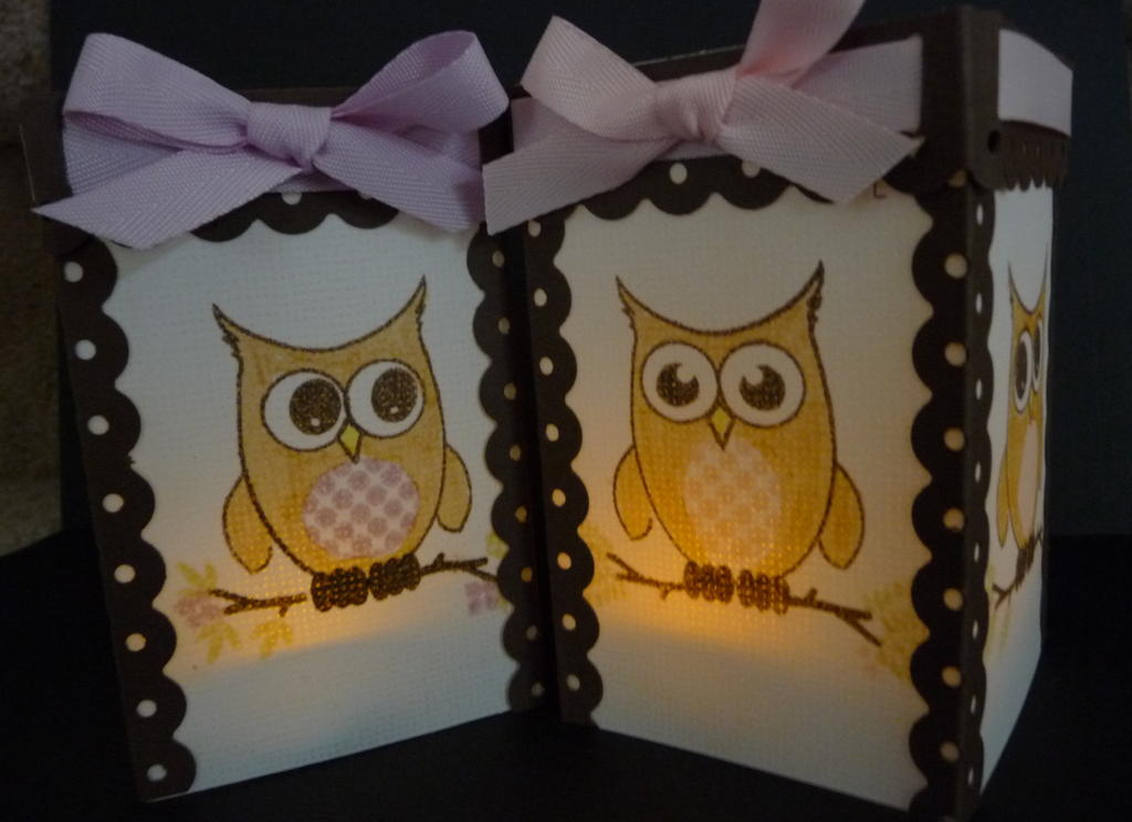 GSS Entry Wise Owl.  Michele Hetland (Derbylea) http://iamderby.blogspot.com<br />
Wise Owl tea...