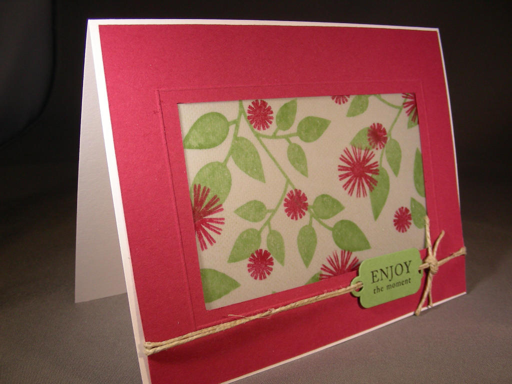 Once I started making cards with vellum, I just couldn&#039;t stop!  Here is my second card for...