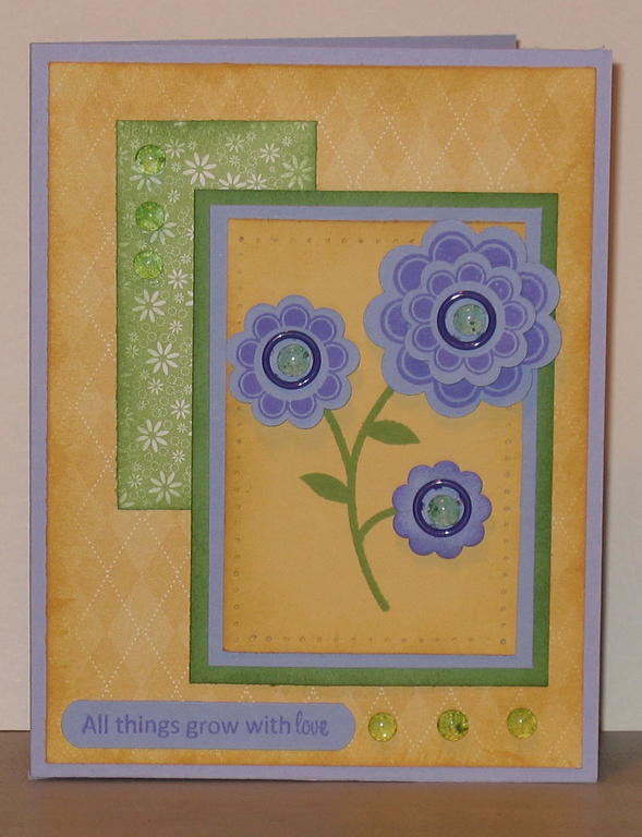 Had a great time with this card.  I got to use my Crop - A - Dial  II to put the gromlets into...