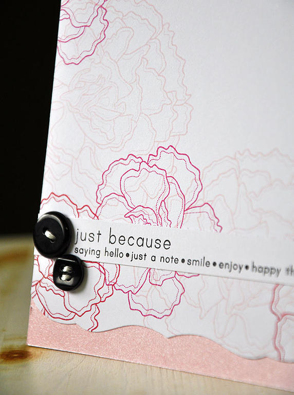 Stamps:  Year Of Flowers: Carnations &amp; Simple Sentiments<br />
Ink:  Sweet Blush, Raspberry...