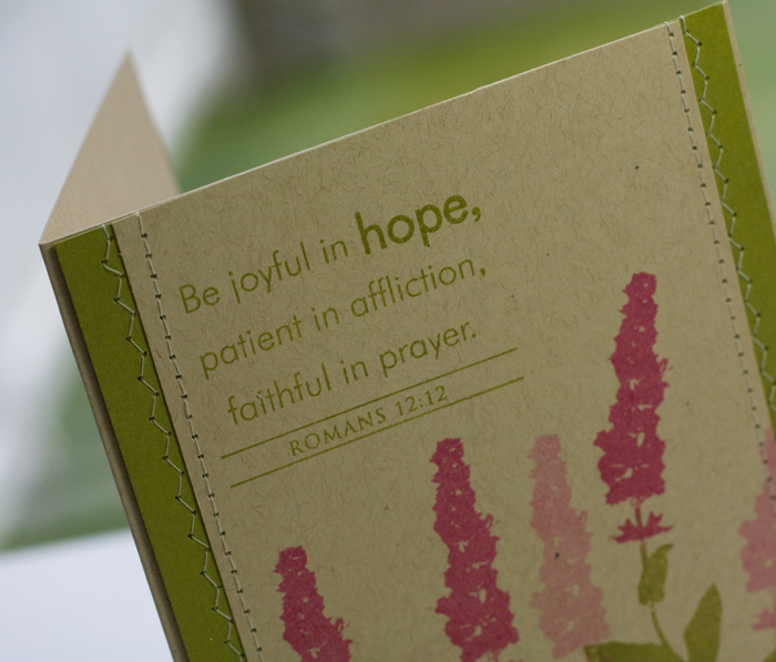 * Stamps- Wildflower Garden, Beautiful Blessings<br />
    * Ink- Ripe Avocado, Raspberry...