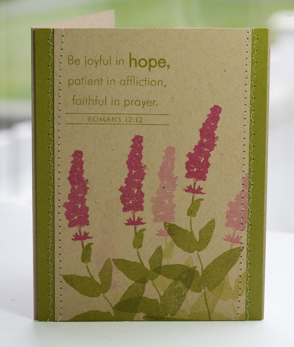 * Stamps- Wildflower Garden, Beautiful Blessings<br />
    * Ink- Ripe Avocado, Raspberry...