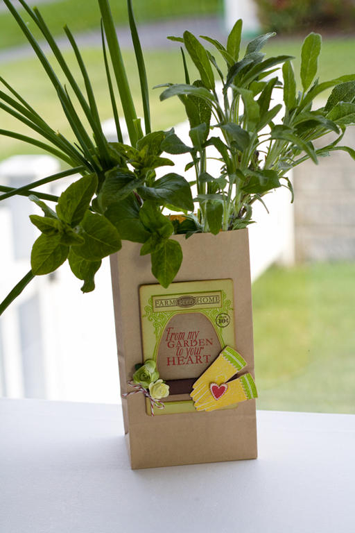 * Stamps- Garden Variety, Just For You<br />
    * Ink- Dark Chocolate, Pure Poppy,  Landscape...